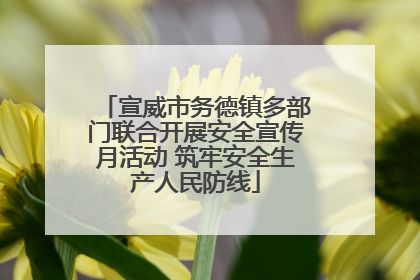 宣威市务德镇多部门联合开展安全宣传月活动 筑牢安全生产人民防线