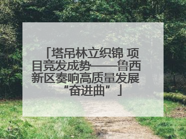 塔吊林立织锦 项目竞发成势——鲁西新区奏响高质量发展“奋进曲”