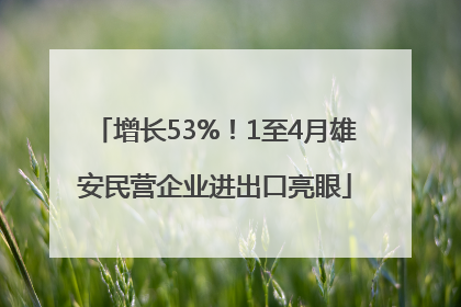 增长53%！1至4月雄安民营企业进出口亮眼