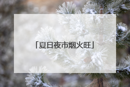 夏日夜市烟火旺