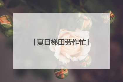 夏日梯田劳作忙