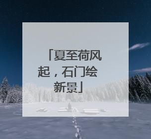 夏至荷风起，石门绘新景