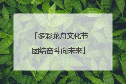 多彩龙舟文化节 团结奋斗向未来