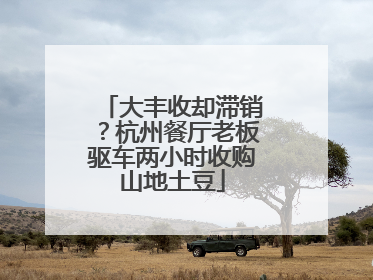 大丰收却滞销？杭州餐厅老板驱车两小时收购山地土豆