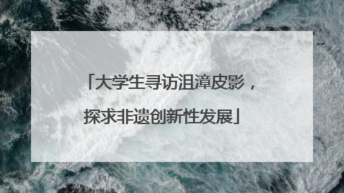 大学生寻访沮漳皮影，探求非遗创新性发展