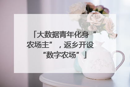 大数据青年化身“农场主”，返乡开设“数字农场”