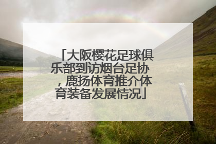 大阪樱花足球俱乐部到访烟台足协，鹿扬体育推介体育装备发展情况