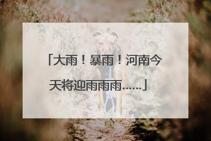 大雨！暴雨！河南今天将迎雨雨雨……