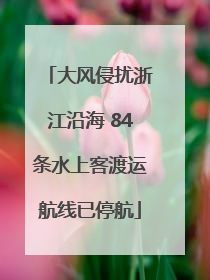大风侵扰浙江沿海 84条水上客渡运航线已停航