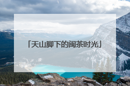 天山脚下的闽茶时光