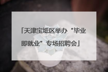 天津宝坻区举办“毕业即就业”专场招聘会