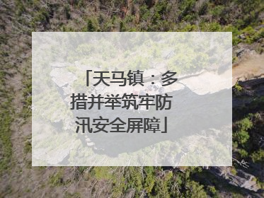 天马镇：多措并举筑牢防汛安全屏障