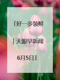 好一多领鲜｜天眼早新闻 6月5日