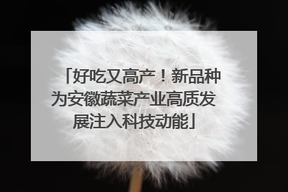 好吃又高产！新品种为安徽蔬菜产业高质发展注入科技动能