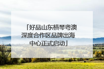 好品山东横琴粤澳深度合作区品牌出海中心正式启动