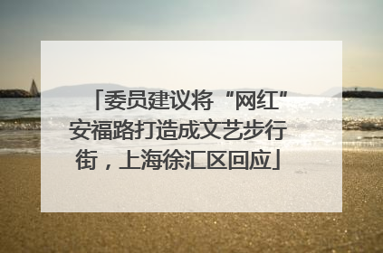 委员建议将“网红”安福路打造成文艺步行街，上海徐汇区回应