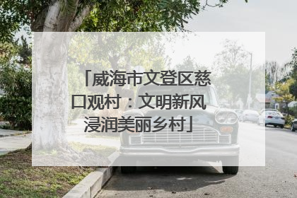威海市文登区慈口观村：文明新风浸润美丽乡村
