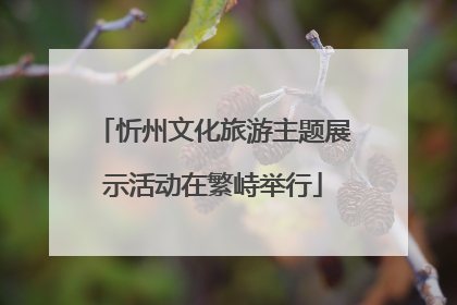 忻州文化旅游主题展示活动在繁峙举行