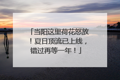 当阳这里荷花怒放！夏日顶流已上线，错过再等一年！