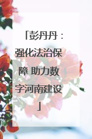 彭丹丹：强化法治保障 助力数字河南建设