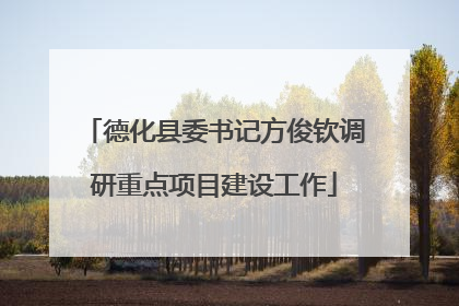 德化县委书记方俊钦调研重点项目建设工作