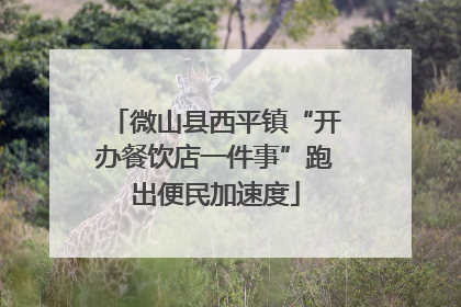 微山县西平镇“开办餐饮店一件事”跑出便民加速度