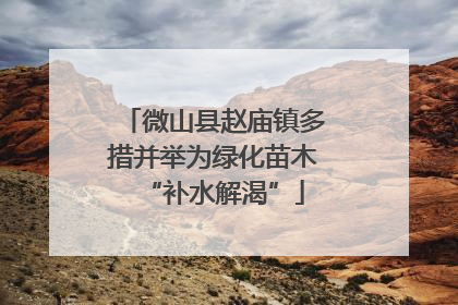 微山县赵庙镇多措并举为绿化苗木“补水解渴”
