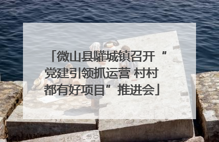 微山县驩城镇召开“党建引领抓运营 村村都有好项目”推进会