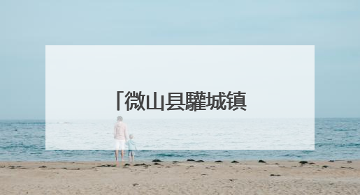微山县驩城镇开展社保换卡进社区活动