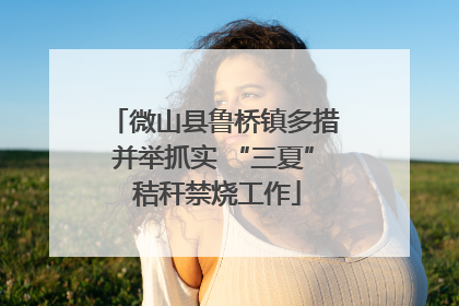微山县鲁桥镇多措并举抓实 “三夏” 秸秆禁烧工作