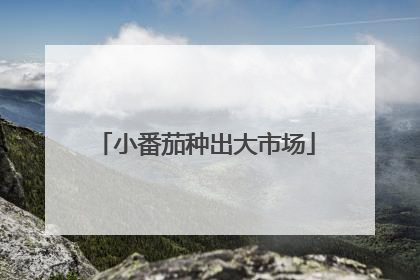 小番茄种出大市场