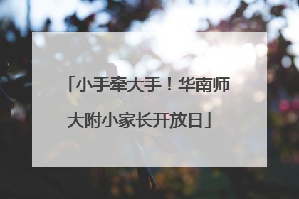 小手牵大手！华南师大附小家长开放日