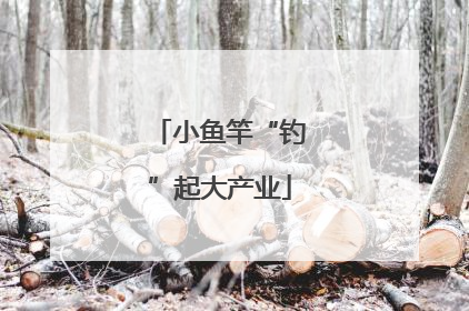 小鱼竿“钓”起大产业