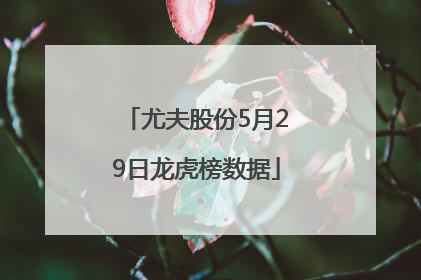 尤夫股份5月29日龙虎榜数据
