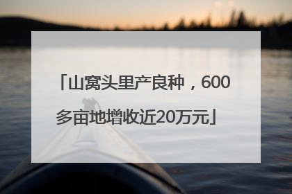 山窝头里产良种，600多亩地增收近20万元