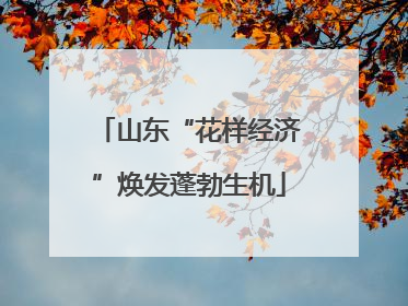 山东“花样经济”焕发蓬勃生机