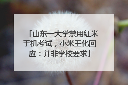 山东一大学禁用红米手机考试，小米王化回应：并非学校要求