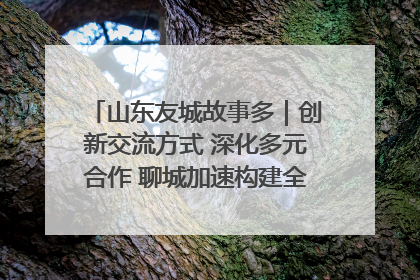 山东友城故事多｜创新交流方式 深化多元合作 聊城加速构建全球友城新格局