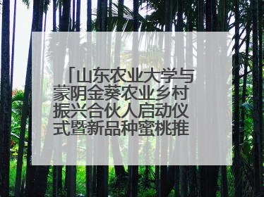 山东农业大学与蒙阴金葵农业乡村振兴合伙人启动仪式暨新品种蜜桃推介活动举行