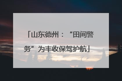 山东德州：“田间警务”为丰收保驾护航