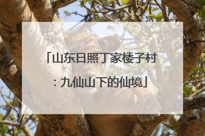 山东日照丁家楼子村：九仙山下的仙境