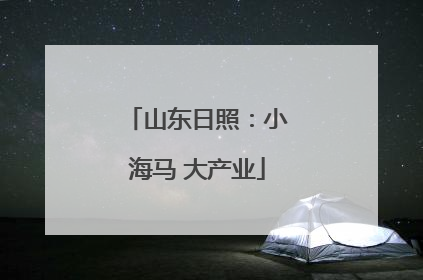 山东日照：小海马 大产业