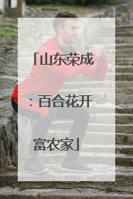 山东荣成：百合花开富农家