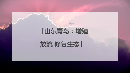 山东青岛：增殖放流 修复生态