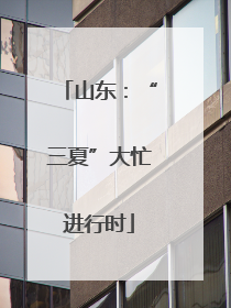 山东：“三夏”大忙进行时