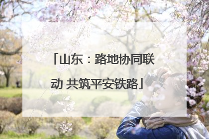 山东：路地协同联动 共筑平安铁路