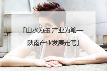 山水为墨 产业为笔——陕南产业发展走笔