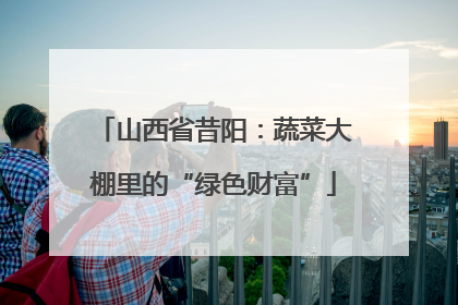 山西省昔阳：蔬菜大棚里的“绿色财富”