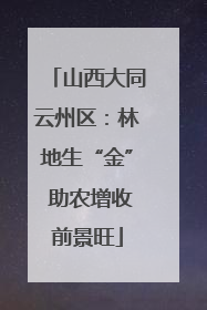 山西大同云州区：林地生“金” 助农增收前景旺