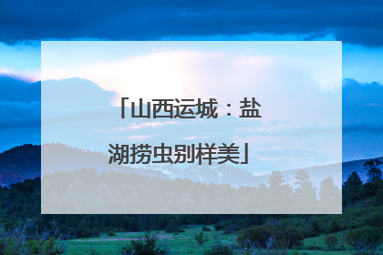山西运城：盐湖捞虫别样美